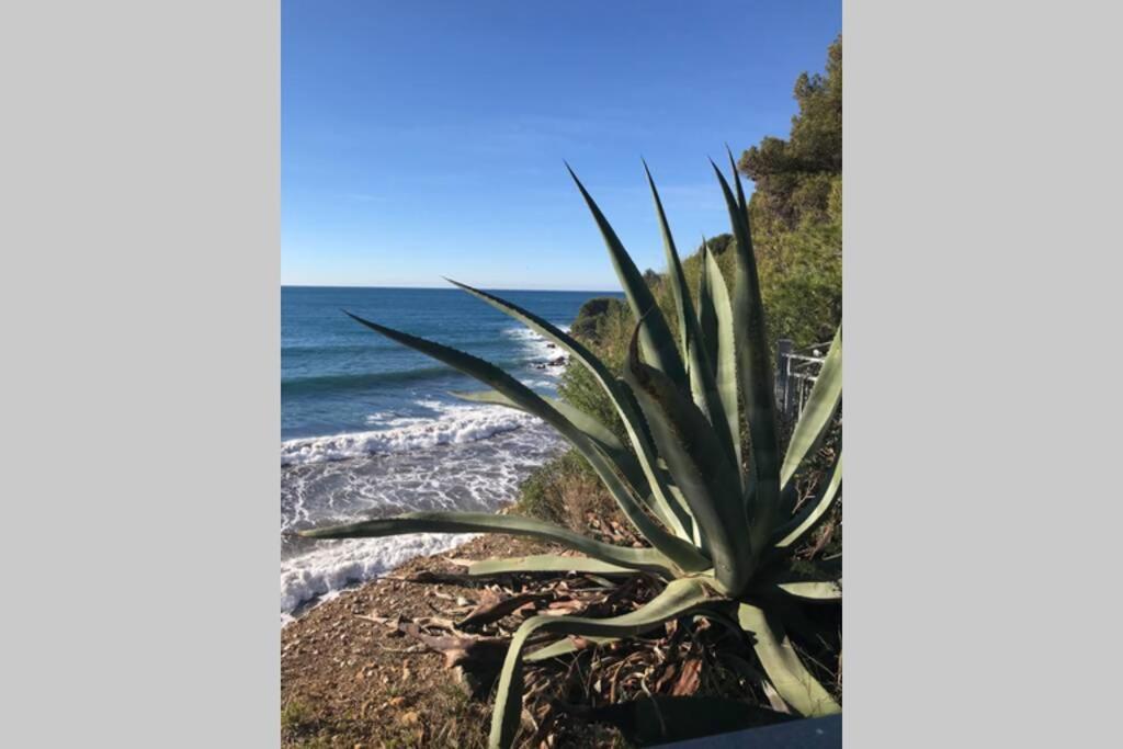 La Petite Pinede Studio Climatise Proche Plage Sanary-sur-Mer Buitenkant foto